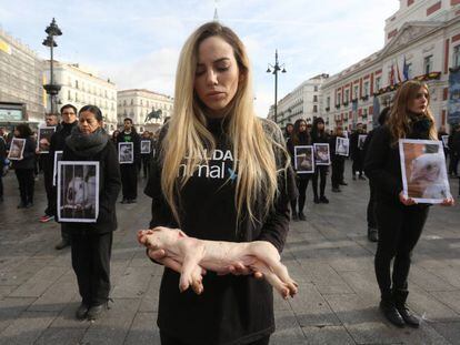 Manifestaci&oacute;n en Madrid, el pasado diciembre, de activistas de Igualdad Animal.