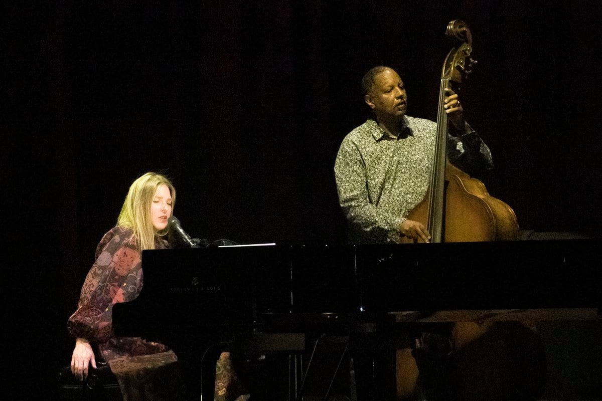When Diana Krall trembles, the Botanist shivers |  Culture
