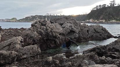 Pesca de erizos de mar en la costa asturiana.