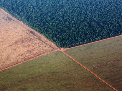 Vista aérea del bosque tropical del Amazonas bordeado por tierras deforestadas preparadas para la siembra de la soja, en el estado de Mato Grosso, Brasil.