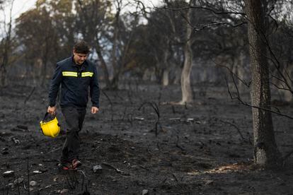 Un bombero camina por una zona devastada por las llamas en la sierra de la Culebra en junio de 2022.