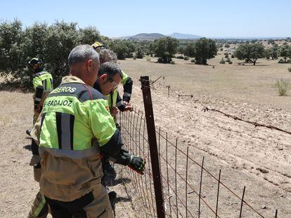 Efectivos del cuerpo de bomberos acuden al lugar donde una persona ha muerto este martes al estrellarse una avioneta cerca de Mérida, en las proximidades del embalse de Proserpina.