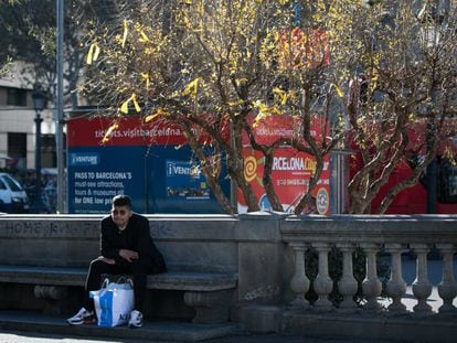 Arbre de la plaça de Catalunya decorat amb llaços grocs.