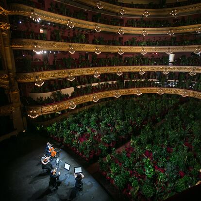 22/06/20 Concierto en el Gran Teatre del Liceu con mas de 2000 plantas como unicos espectadores tras la finalizacion del estado de alarma por la epidemia del coronavirus Covid 19. Las plamtas utilizadas en la creacion artistica, saran donadas a los sanitarios del Hospital Clinic. Barcelona, 22 de junio de 2020 [ALBERT GARCIA]