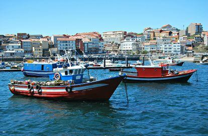 Barcos de pesca en el puerto de Fisterra, A Coruña. 