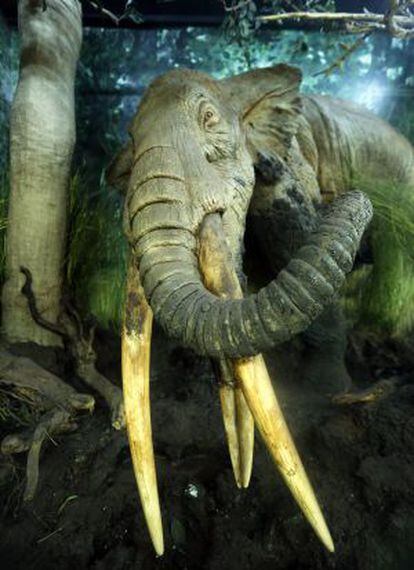 Recreación de un mastodonte en Carpetana.