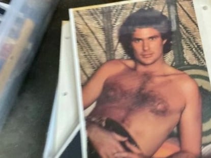 Entre los objetos a subasta se encuentra una "foto sexy" (es literal) de David Hasselhoff en su juventud.