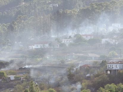 Vista del incendio declarado el sábado 15 de julio en el municipio de Puntagorda, en la isla de La Palma.