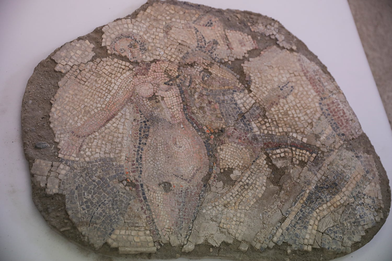 Pieza perteneciente al mosaico del rapto de Europa del Museo Arqueológico de Sevilla donde se procederá al traslado de las piezas para la posterior rehabilitación del edificio.