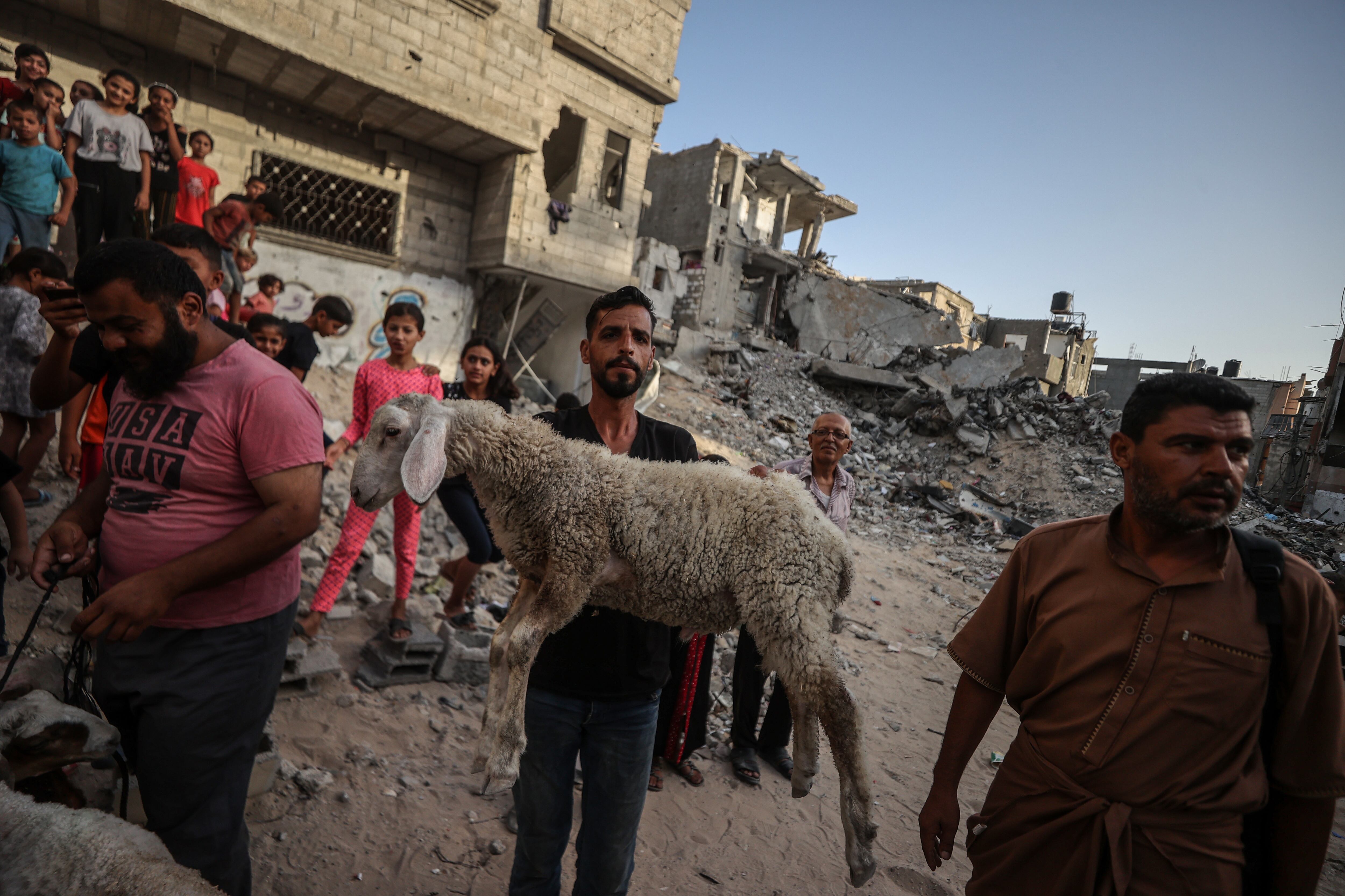 KHAN YUNIS, GAZA - JUNE 16: Palestinians arrive at the slaughterhouses after the Eid prayers, in Khan Yunis, Gaza on June 16, 2024. (Photo by Ali Jadallah/Anadolu via Getty Images)
