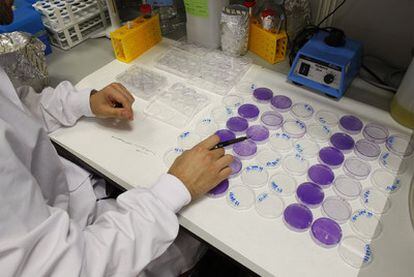 Miles de científicos investigan en todo el mundo en terapia génica.