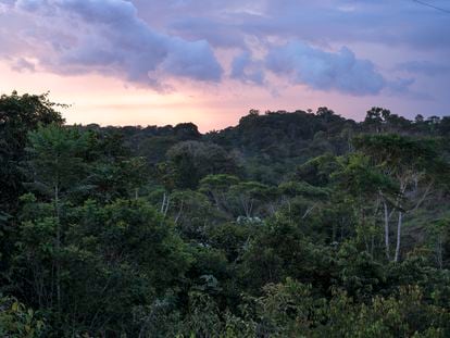 Atardecer en la selva amazónica, a las afueras de Murutinga, un poblado indígena en Vaupés.