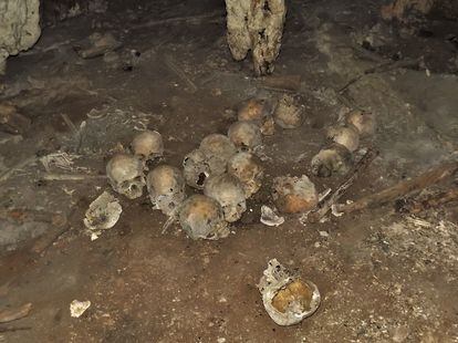 Algunos de los cráneos humanos hallados en la cueva de Comalapa, en Chiapas.