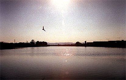 El delta del río Llobregat, ayer al atardecer.