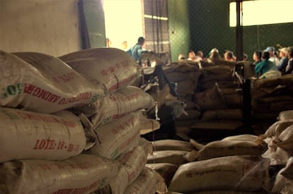 En la cooperativa Asoagro, en San Juan de Nepomuceno, cada campesino es dueño de su tierra, pero para venderla a un tercer comprador, la operación debe ser aprobada por el resto de cooperativistas.