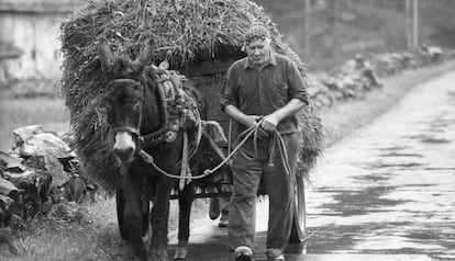  John Berger es commou amb la vida agrària que desapareixerà.