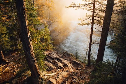 Vista otoñal de la ruta Karhunkierros. Parque Nacional de Oulanka