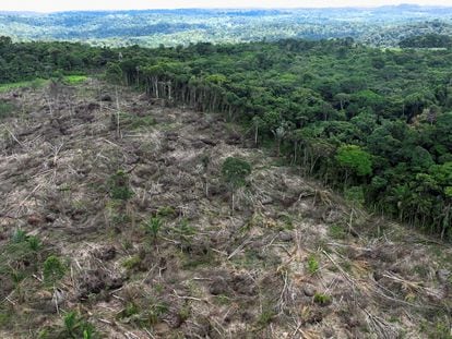 Una zona deforestada en la Amazonia durante una operación para combatir la tala ilegal cerca de Uruara, en el Estado de Pará, en enero de 2023.