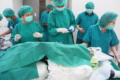 Veterinarios tailandeses preparan a la tortuga Omsin para ser operada en la Facultad de Veterinaria de la Universidad de Chulalongkorn, en Bangkok.