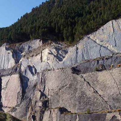 Pared con rastros de dinosaurios en Fumanya.