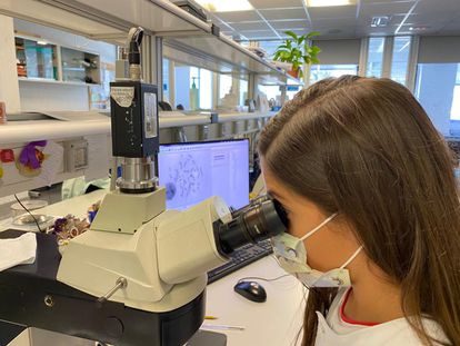 Olga, de 12 años, en el laboratorio de su madre, Inmaculada Ibáñez, bióloga e investigadora del cáncer en La Paz (Madrid).