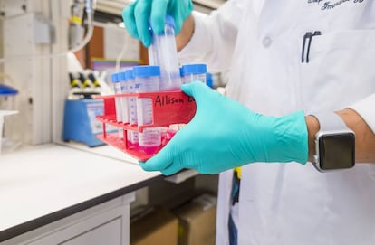 Tubos de ensayo de los medicamentos de inmunoterapia con los que trabaja James P. Allison.
