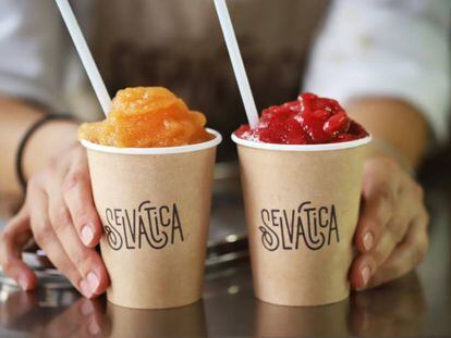 Ubicada a la Vila de Gràcia, Selvàtica és una altra gelateria artesanal barcelonina. 