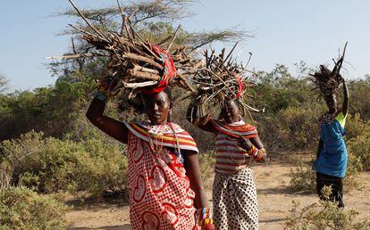 Estas mujeres de la tribu samburu escaparon de la mutilación genital femenina y otros tipos de violencia de género. En la imagen, llevan leña en la cabeza para usarla como combustible en su pueblo: Umoja.