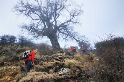 Senderistas en sierra Mágina, en la provincia de Jaén.