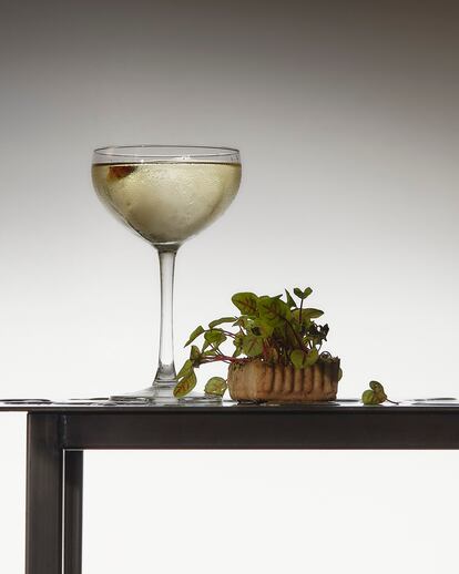 Reportaje sobre cócteles Especial verano 2021 La Tuerta Hinojo
Ingredientes
3 centilitros de ginebra
Monkey 47, 2 de fino en rama
de añada (vendimia 2014) y 5
de cordial de hoja de hinojo.
Añadir un dash (unas gotas)
de bíter casero de aceituna.
Elaboración
Remover en vaso mezclador
y servir en copa coupe (o de
champán) con un hielo. Decorar
con un brote de acedera roja.