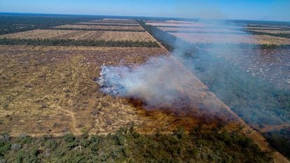 Tierras deforestadas y quemadas en El Chaco.