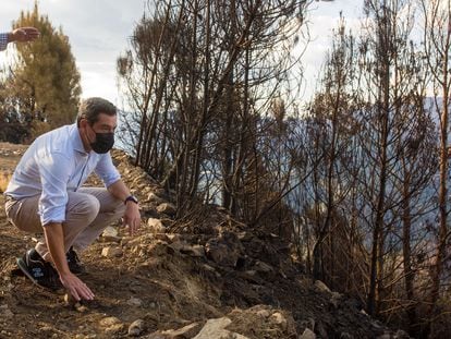 El presidente andaluz, Juan Manuel Moreno, en la zona del reciente incendio en Sierra Bermeja (Málaga).