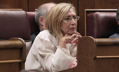 Rosa Díez, de UPyD, durante el pleno.