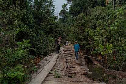 Indígenas karipunas observan el puente destruido por las motosierras dentro de la tierra indígena karipuna. "Fue una represalia de los madereros", dicen.