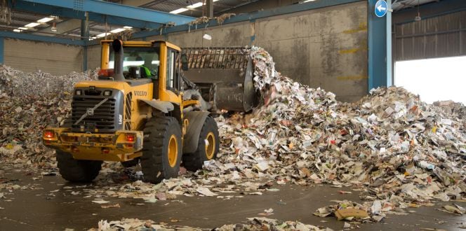 Reciclaje de envases de papel y cartón: si algo funciona, ¿por qué cambiarlo?