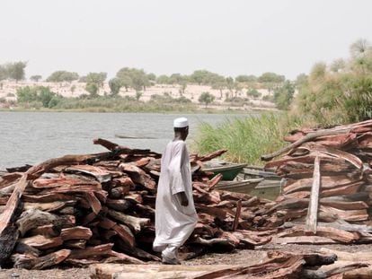 Madera para su venta en Bol (Chad), una zona que ha recibido numerosos desplazados por la violencia de Boko Haram. C. Laorden 