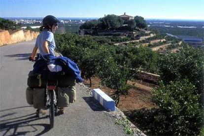 Paisaje de naranjos y limoneros en la Vía Augusta, después de pasar Sagunto rumbo al norte.