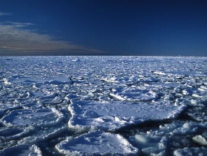 El hielo ártico es cada vez más fino.