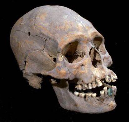 Perfil cráneo encontrado en Teotihuacán