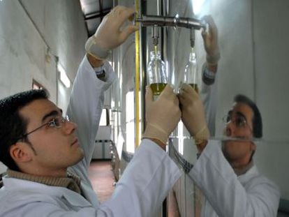 Un operario toma una muestra para evaluar la calidad del aceite de oliva.