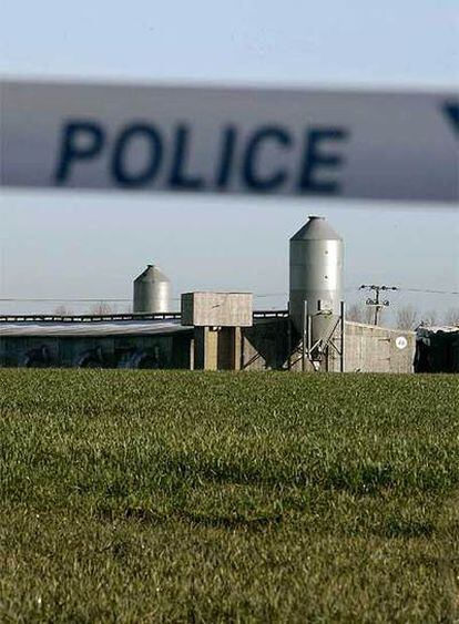 Un cordón policial impide el paso a la granja infectada por la gripe aviar, en la localidad británica de Holton, al este de Inglaterra.