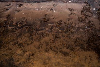 El Paraná es el segundo mayor río de Sudamérica, después del Amazonas. Su delta, al norte de Buenos Aires, es uno de los mayores humedales de Argentina, y en los últimos años se ha visto muy afectado por la sequía y los incendios.