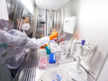 Una laboratorista trabaja en una nueva vacuna contra la viruela del mono cerca de Múnich, Alemania, el 24 de mayo.