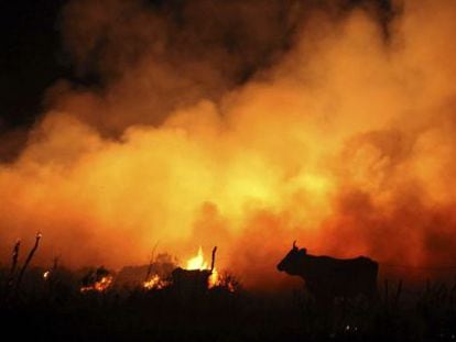 Vista de un incendio forestal ocurrido este verano.