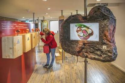 Exposición dedicada al jamón de la Selva Negra, en la torre de Feldberg.