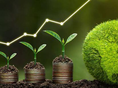 Inversión verde: pros y contras de una estrategia en revisión