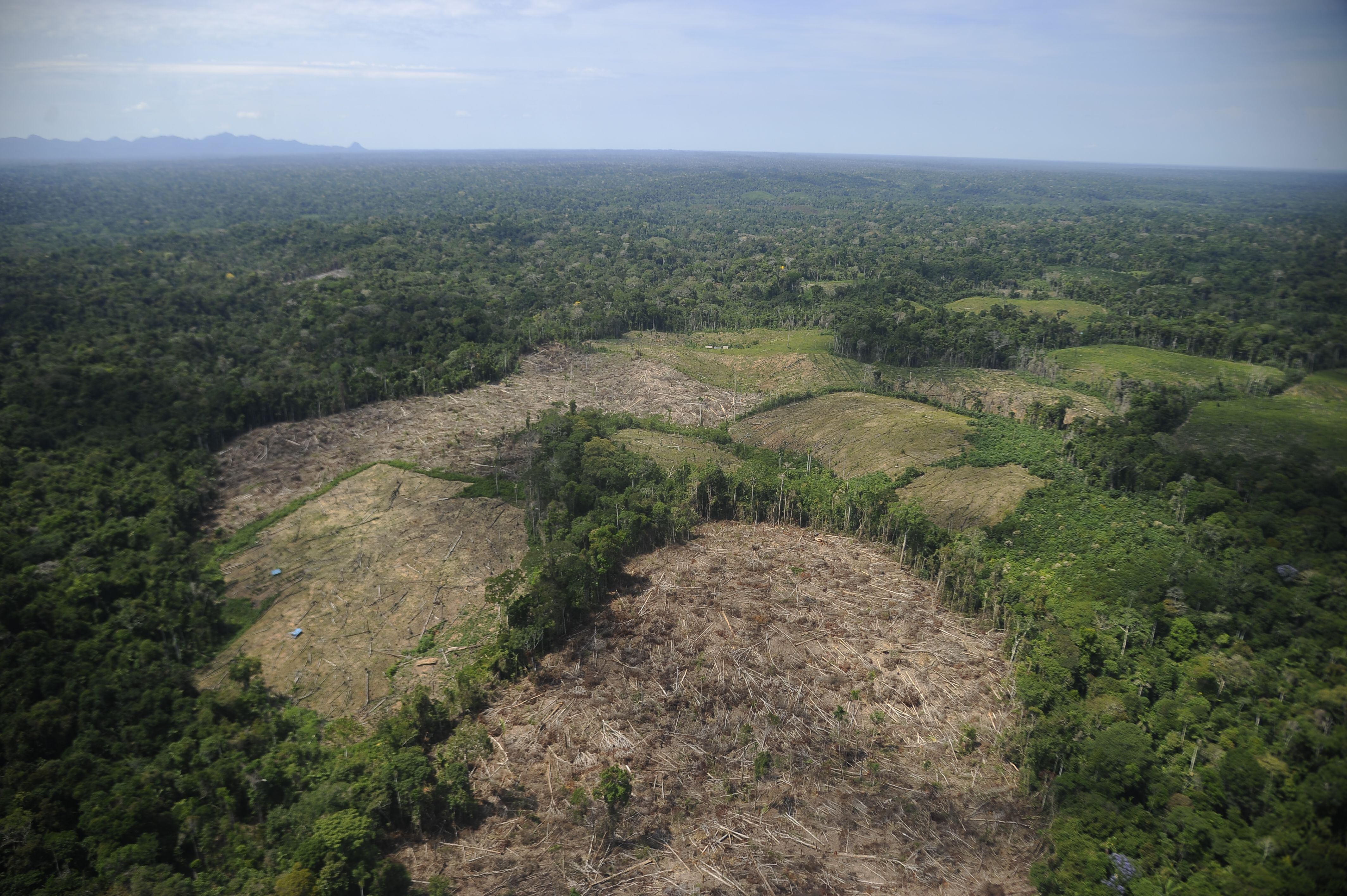 Las áreas de las Zonas de Amortiguamiento del parque Sierra del Divisor han sido deforestadas pese a la prohibición. El panorama aéreo es desolador