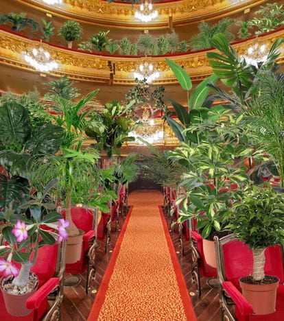 Projecció d'una imatge de la platea del Liceu amb les plantes ocupant les butaques com a espectadores d'un concert.
