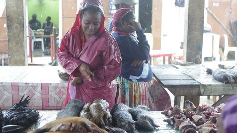 Los pangolines, en el centro, se venden en mercados de África, como este de Libreville (Gabón), y varios países de Asia. En vídeo, nuevos análisis señalan al pangolín como posible fuente del coronavirus.