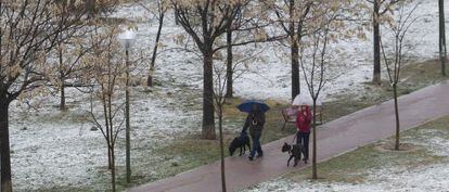 Dos personas pasean a sus perros hoy por el parque de Fuencarral.